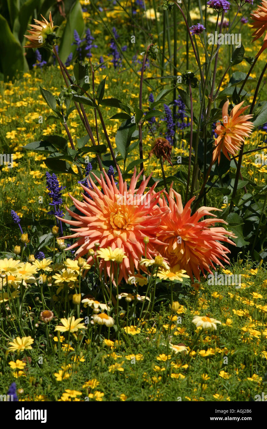 Vandusen gardens hires stock photography and images Alamy