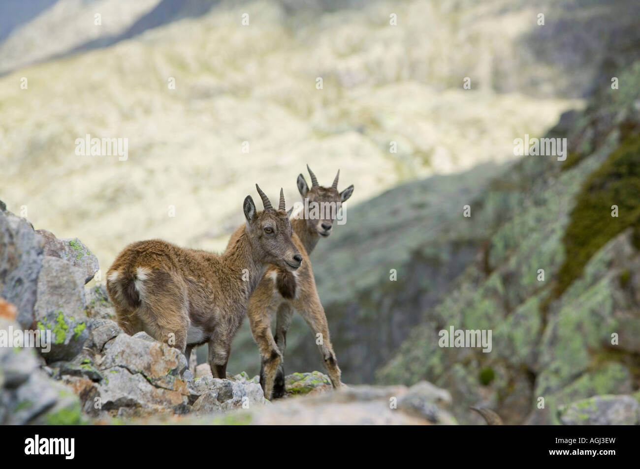 Aiguille rouge national park hi-res stock photography and images - Alamy