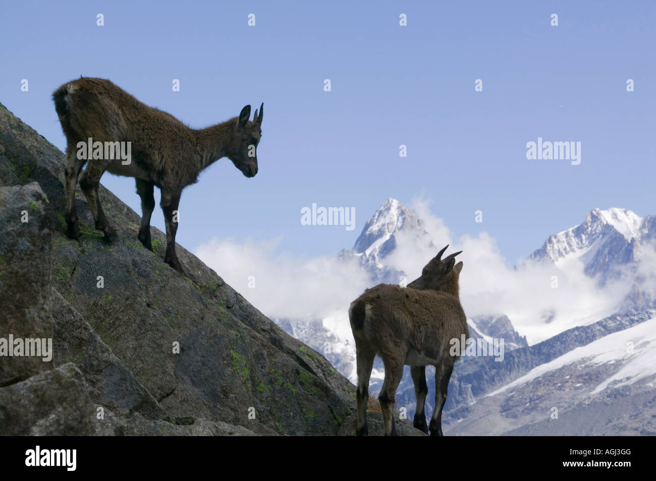 Aiguille rouge national park hi-res stock photography and images - Alamy