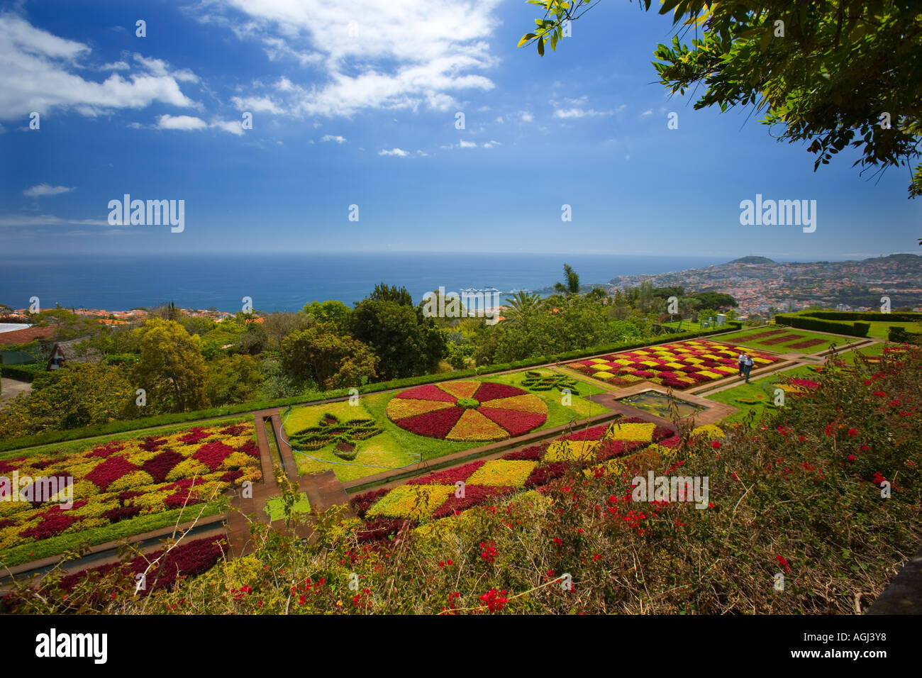 Madeira Funchal Botanical Gardens Stock Photo