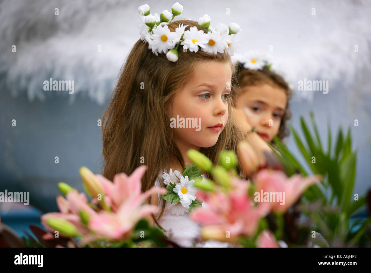 Madeira Funchal Spring Flower Festival Stock Photo