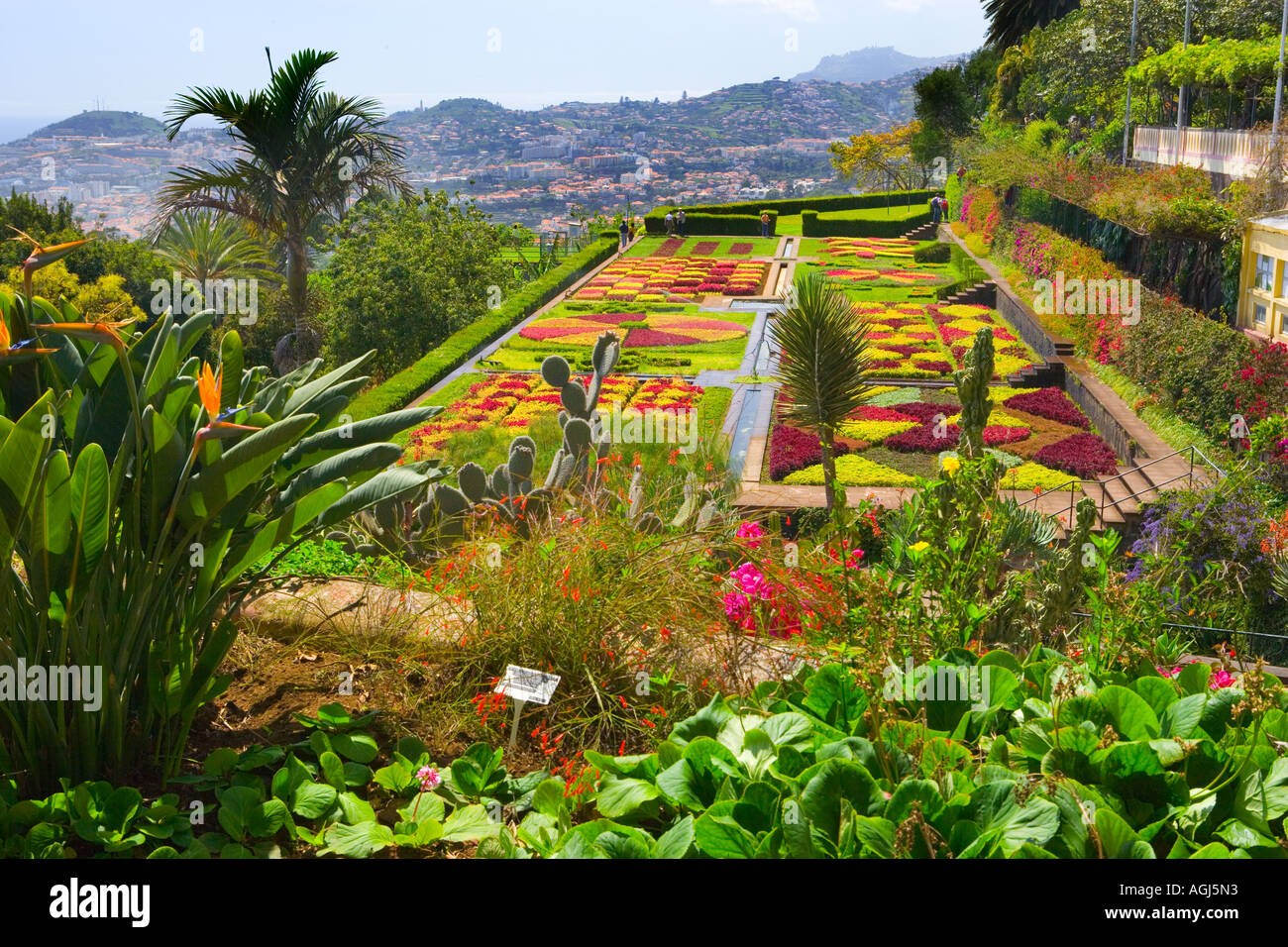 Madeira Funchal View over Botanical Gardens Stock Photo