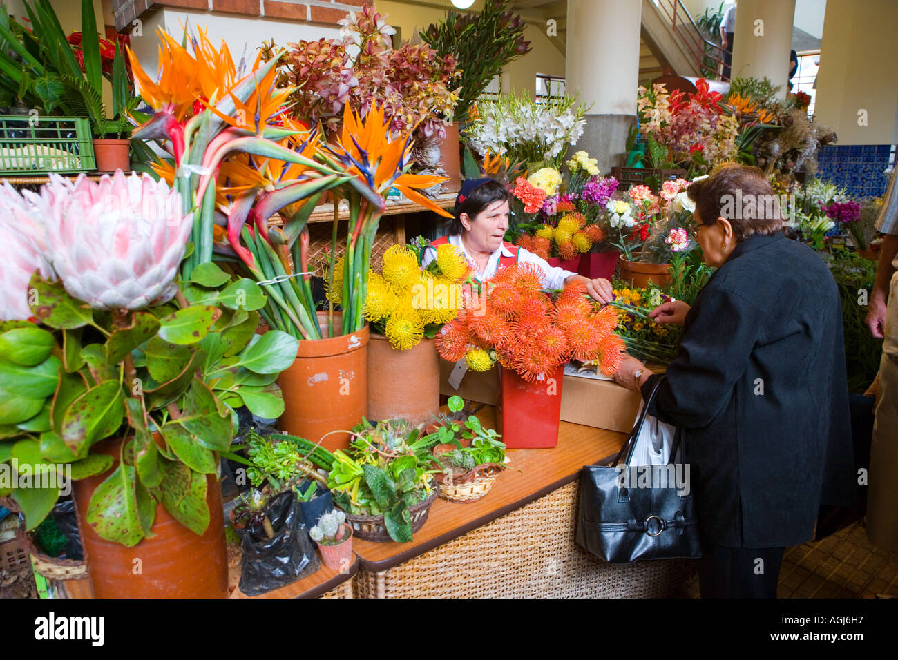 Madeira Funchal Indoor Flower and Fruit Market Stock Photo