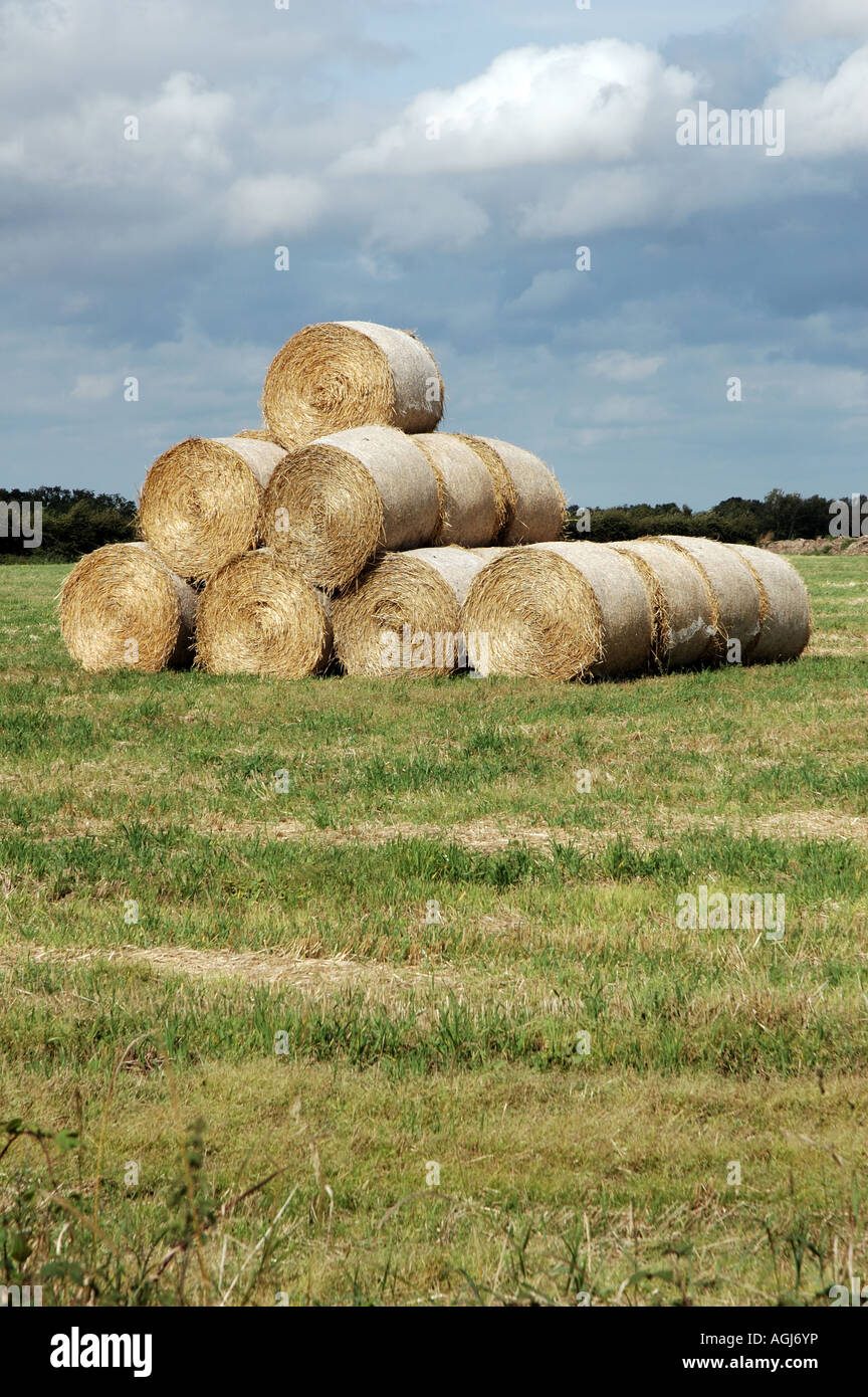 Straw bales, Norfolk, UK Stock Photo Alamy