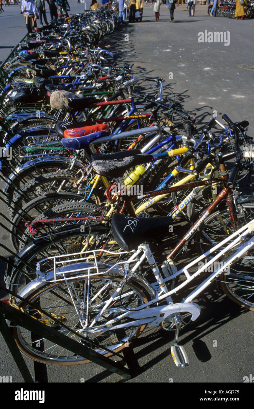 A row of parked bicycles Stock Photo