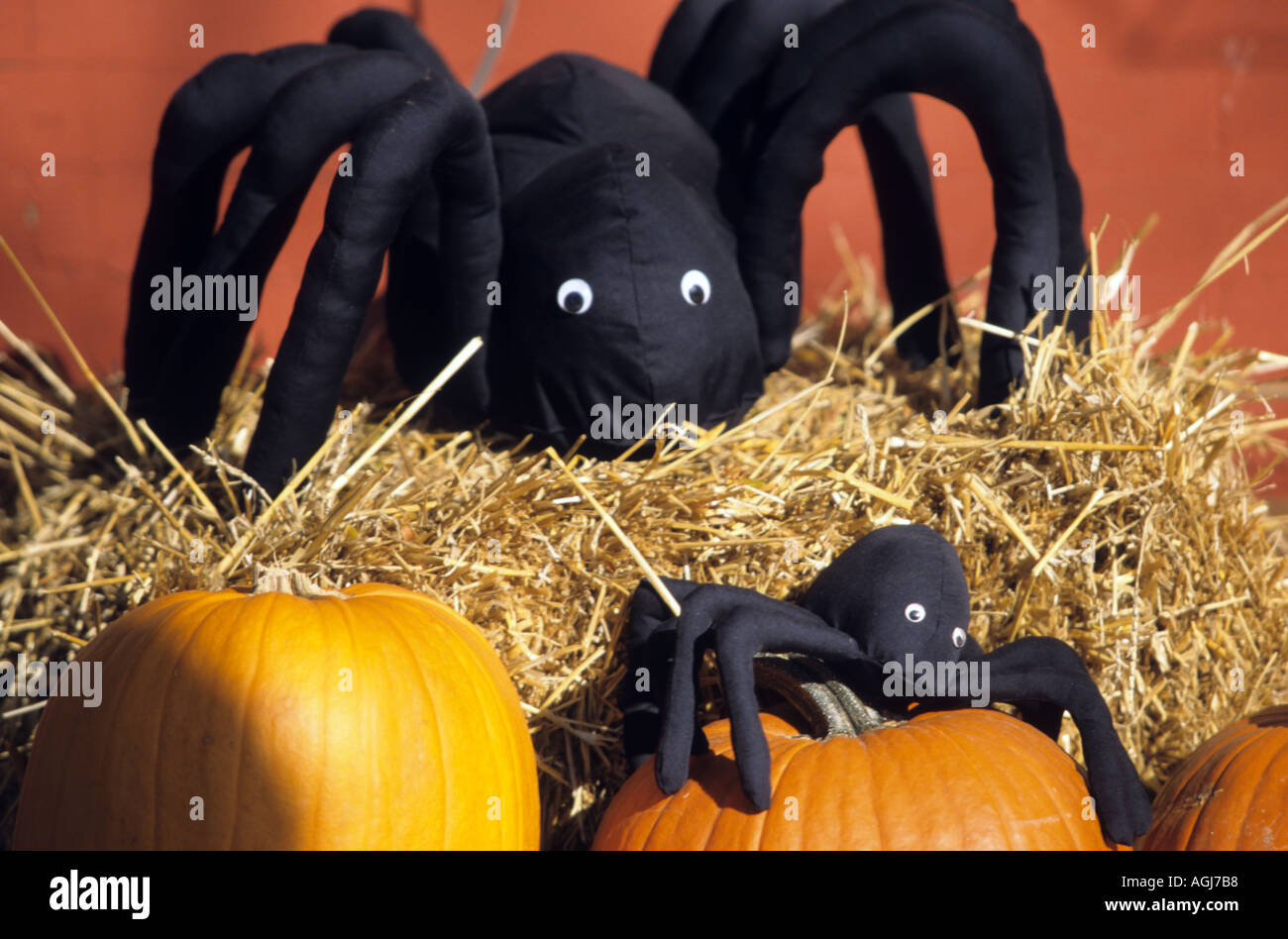 Halloween decorations Stock Photo Alamy