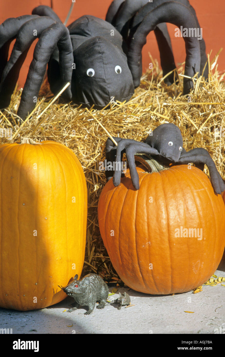 Halloween decorations Stock Photo Alamy
