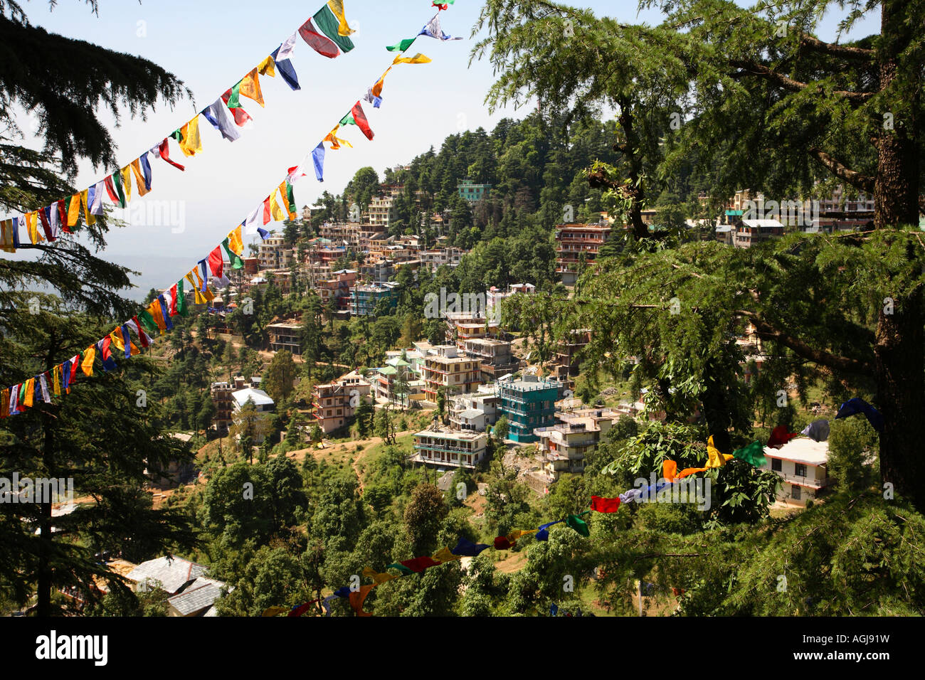 India Dharamsala Mcleod Ganj iconic view with himalayan forest and tibetan prayer flags May 2007 Stock Photo