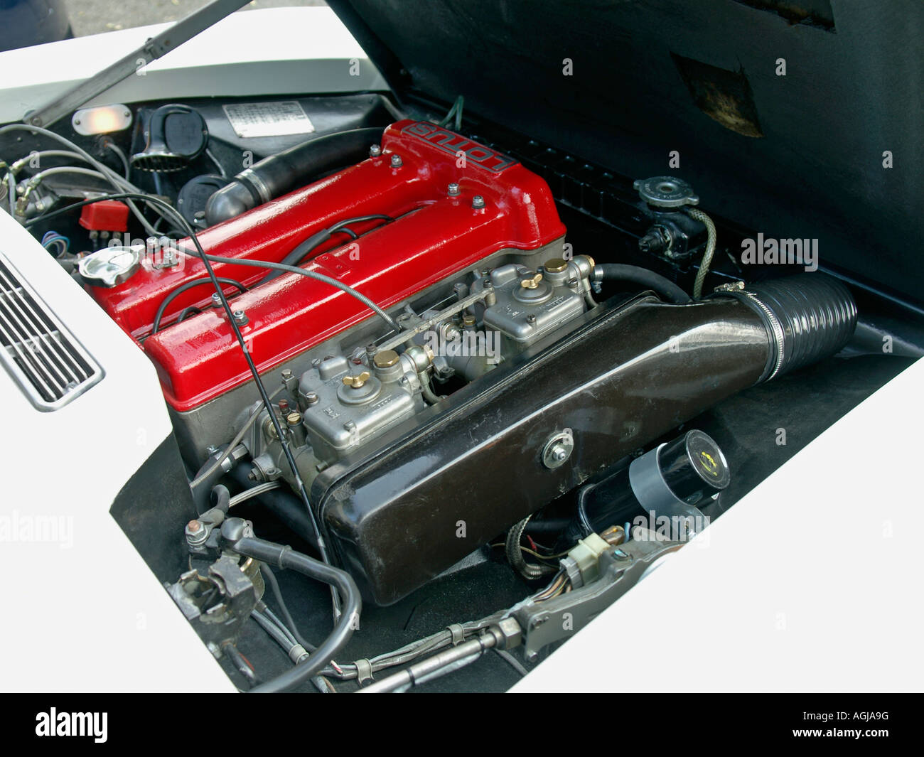 Lotus twin cam engine with red cylinder head in the engine compartment of a white Lotus Elan plus2 Stock Photo