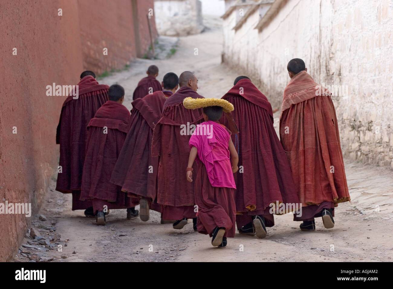 asia china a group of monks on the way in monastery labrang Stock Photo