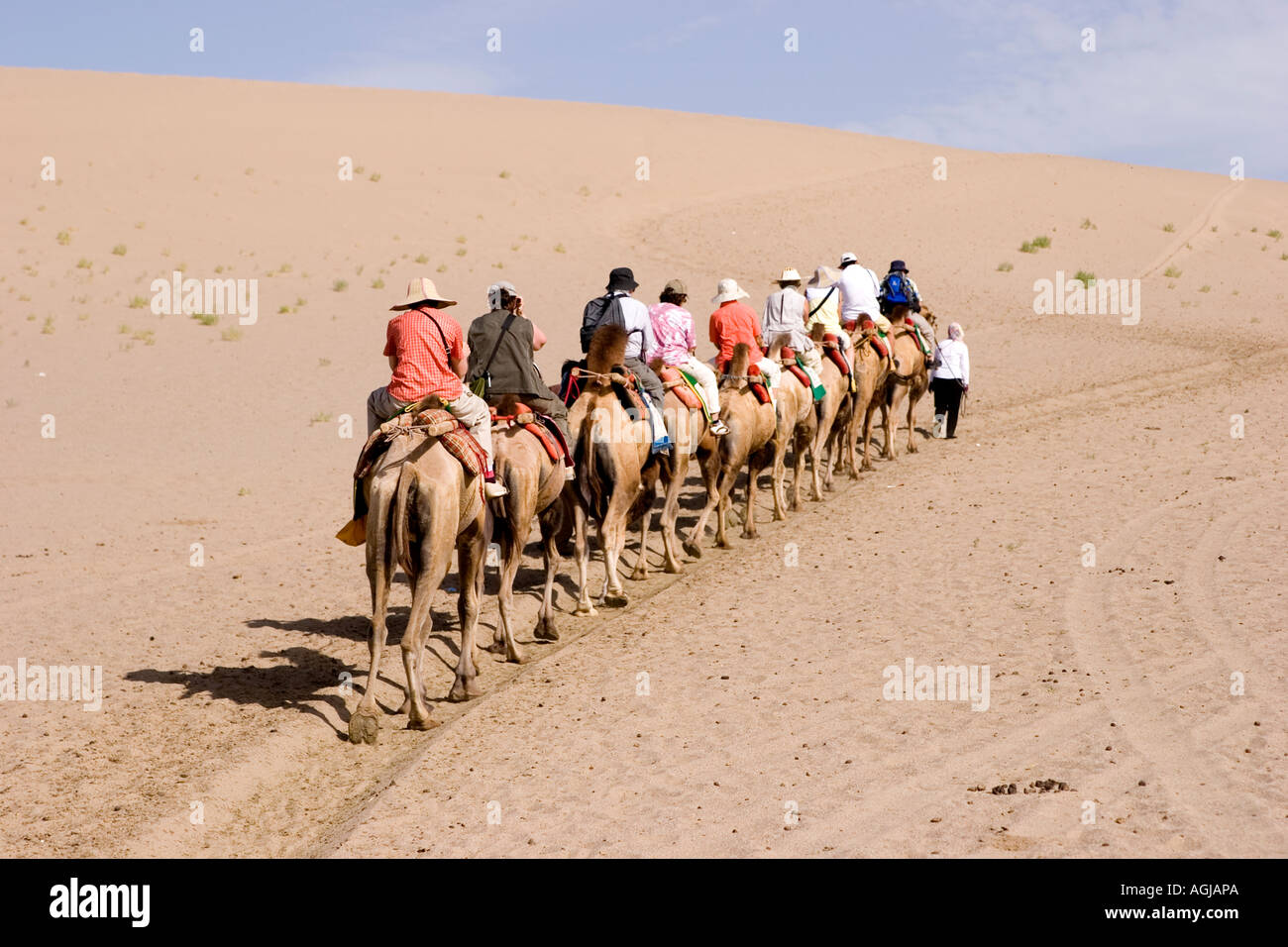 asia china caravan on sand dunes of the taklamakan desert near dunhuang Stock Photo