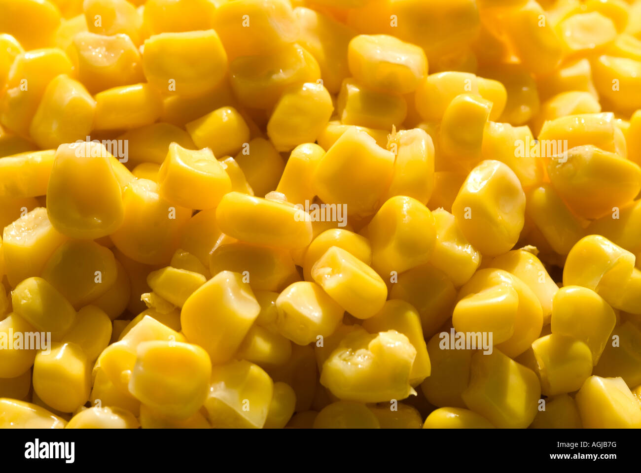 Sweet corn mais Stock Photo
