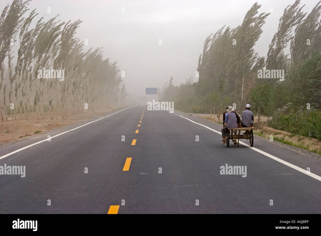 asia china donkey cart in sandstorm near silkroad in the taklamakan desert Stock Photo