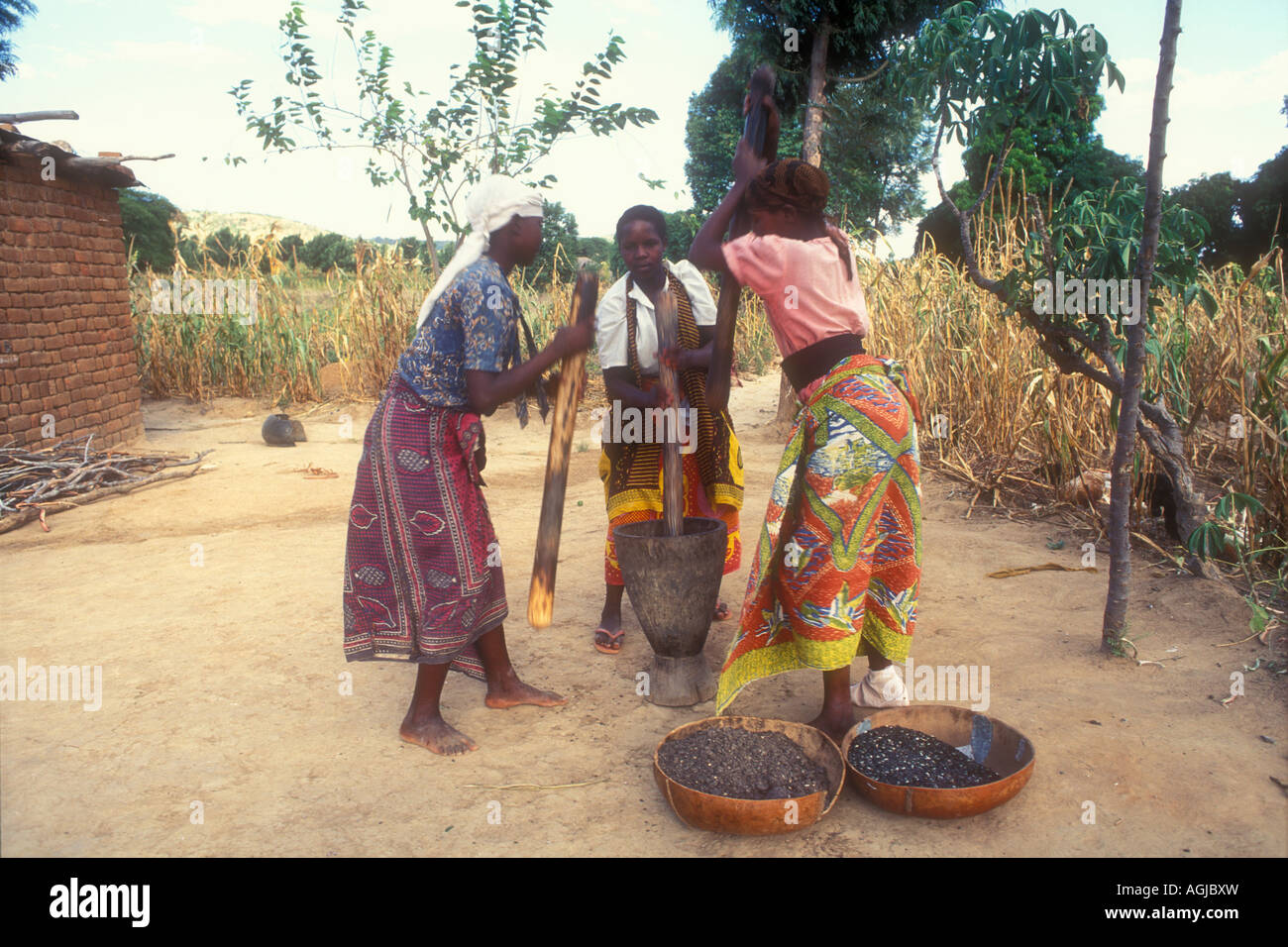 Grinding of sunflower seeds to get cooking oil, Kondoa, Tanzania Stock