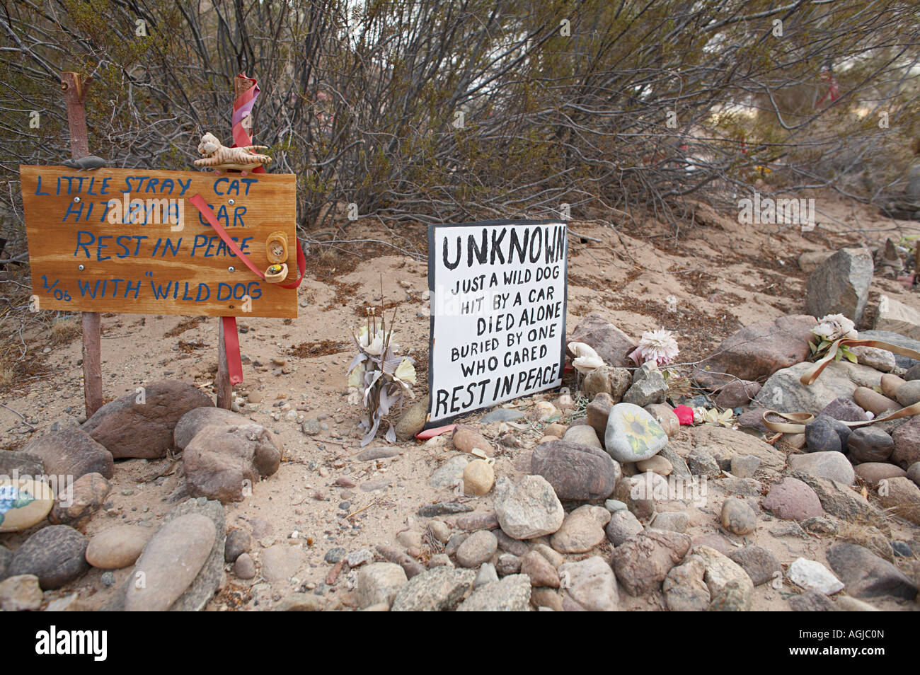 Pet Cemetery near the Sleepy Hollow trailer park on the Quechan Indian