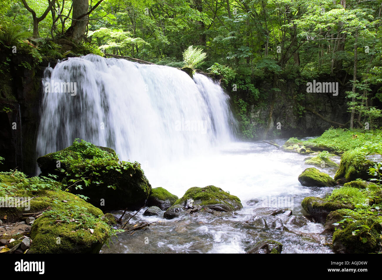 Choshi Great Falls, Oirase Gorge, Lake Towada, Aomori-ken in summer Stock Photo