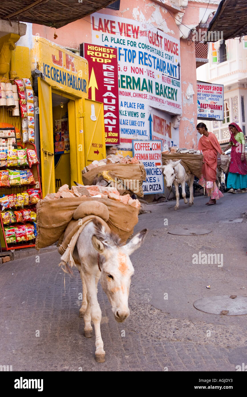 india donkeys in a small lane in udaipur rajasthan Stock Photo