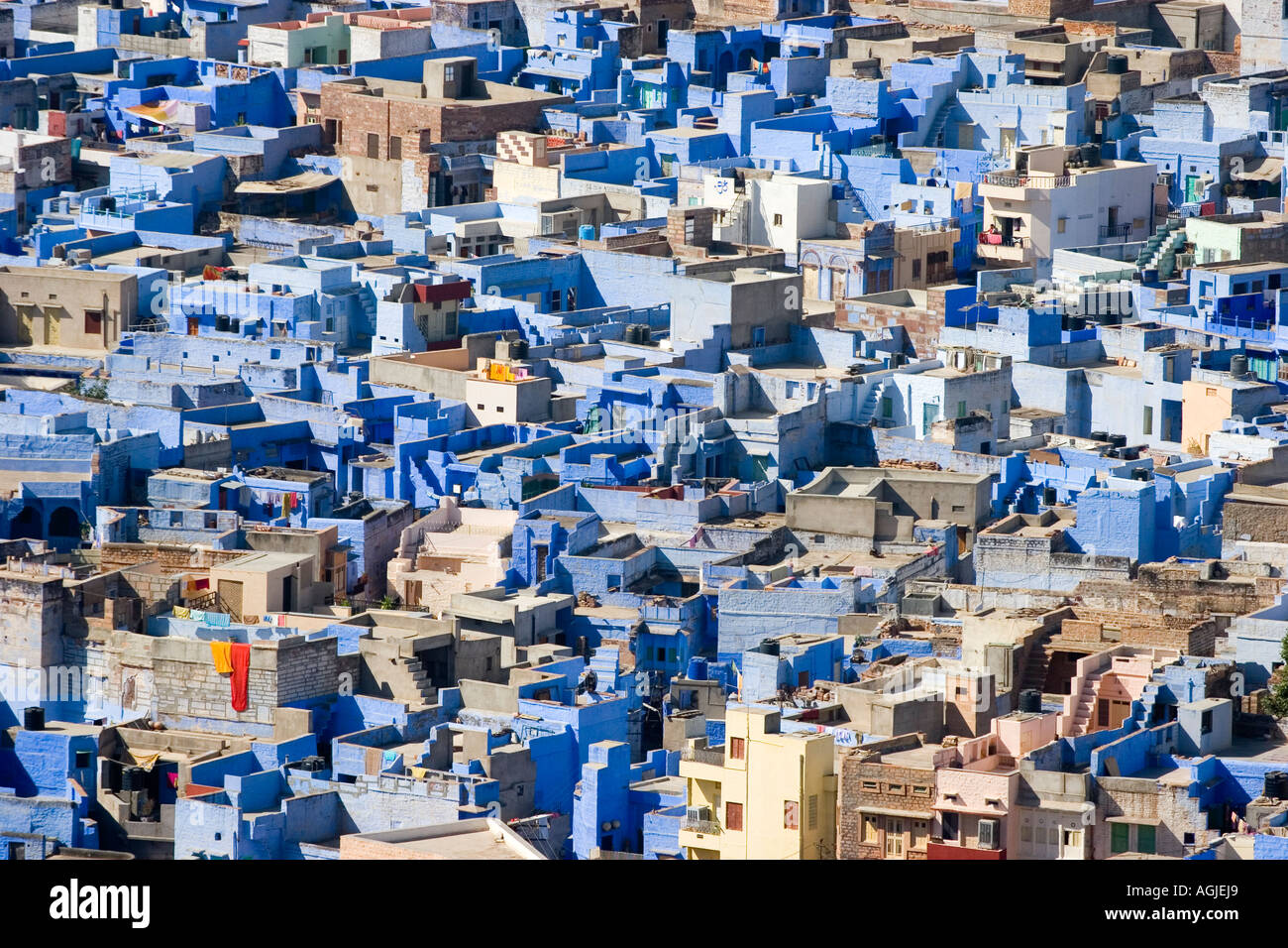 india blue painted houses in jodhpur rajasthan Stock Photo
