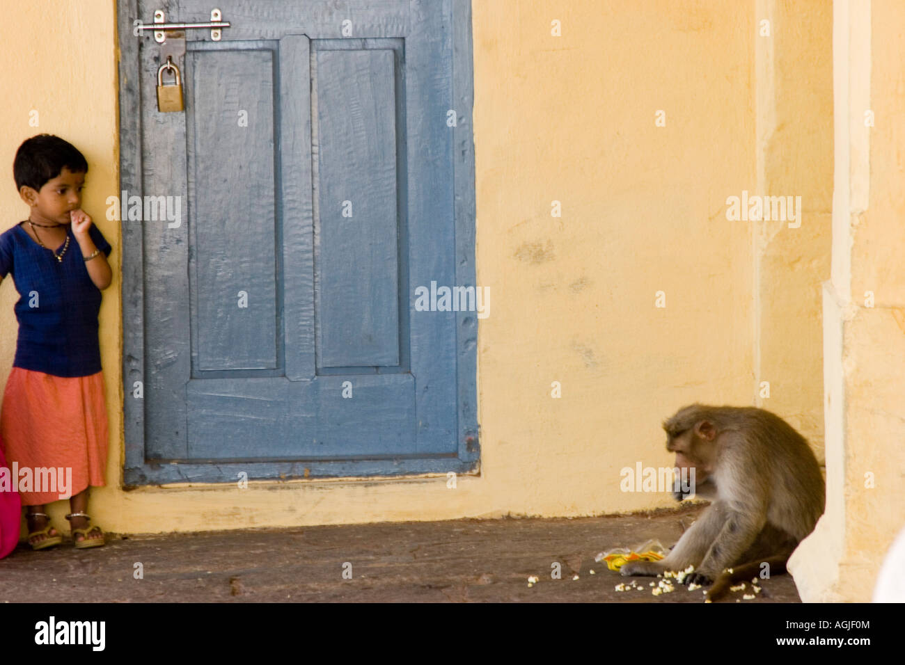 Girl watches a monkey at Chamundeswari Temple on Chamundi hill in Mysore India Stock Photo