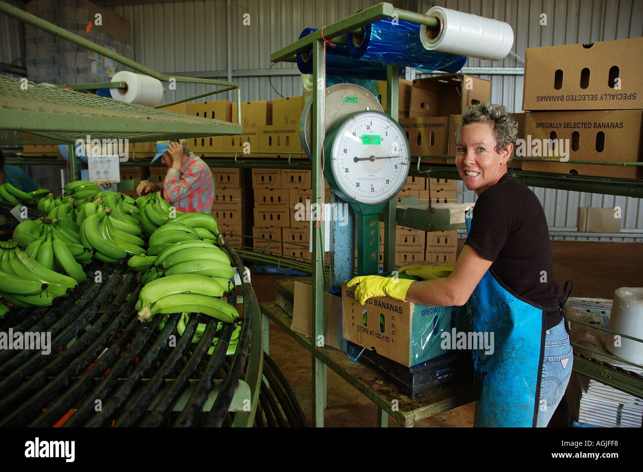 Banana shipping hires stock photography and images Alamy