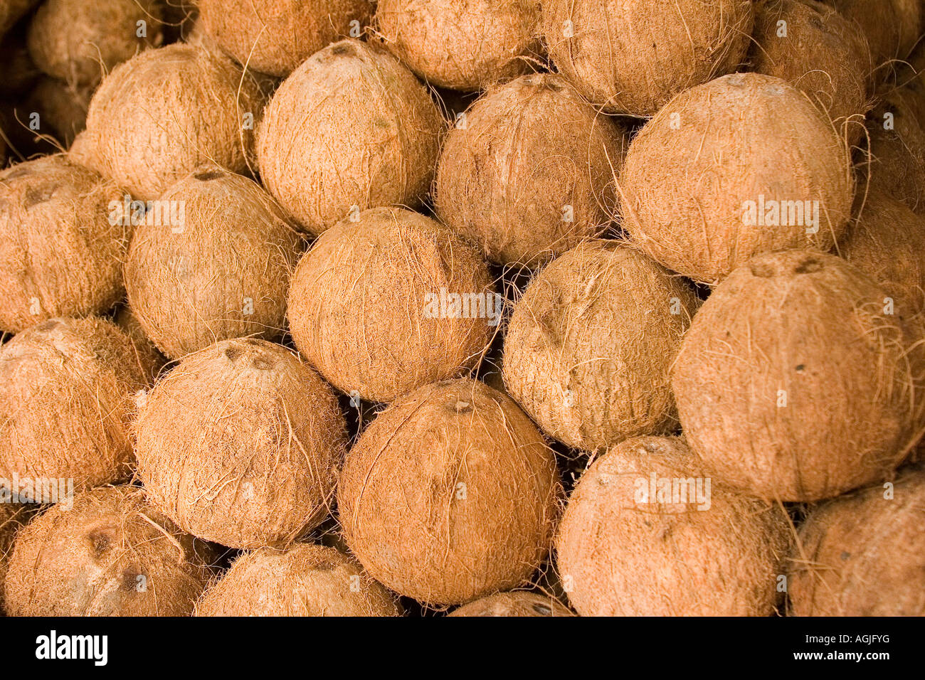 Matured coconut fruit as an ingredient to many Filipino and Asian dishes. Stock Photo