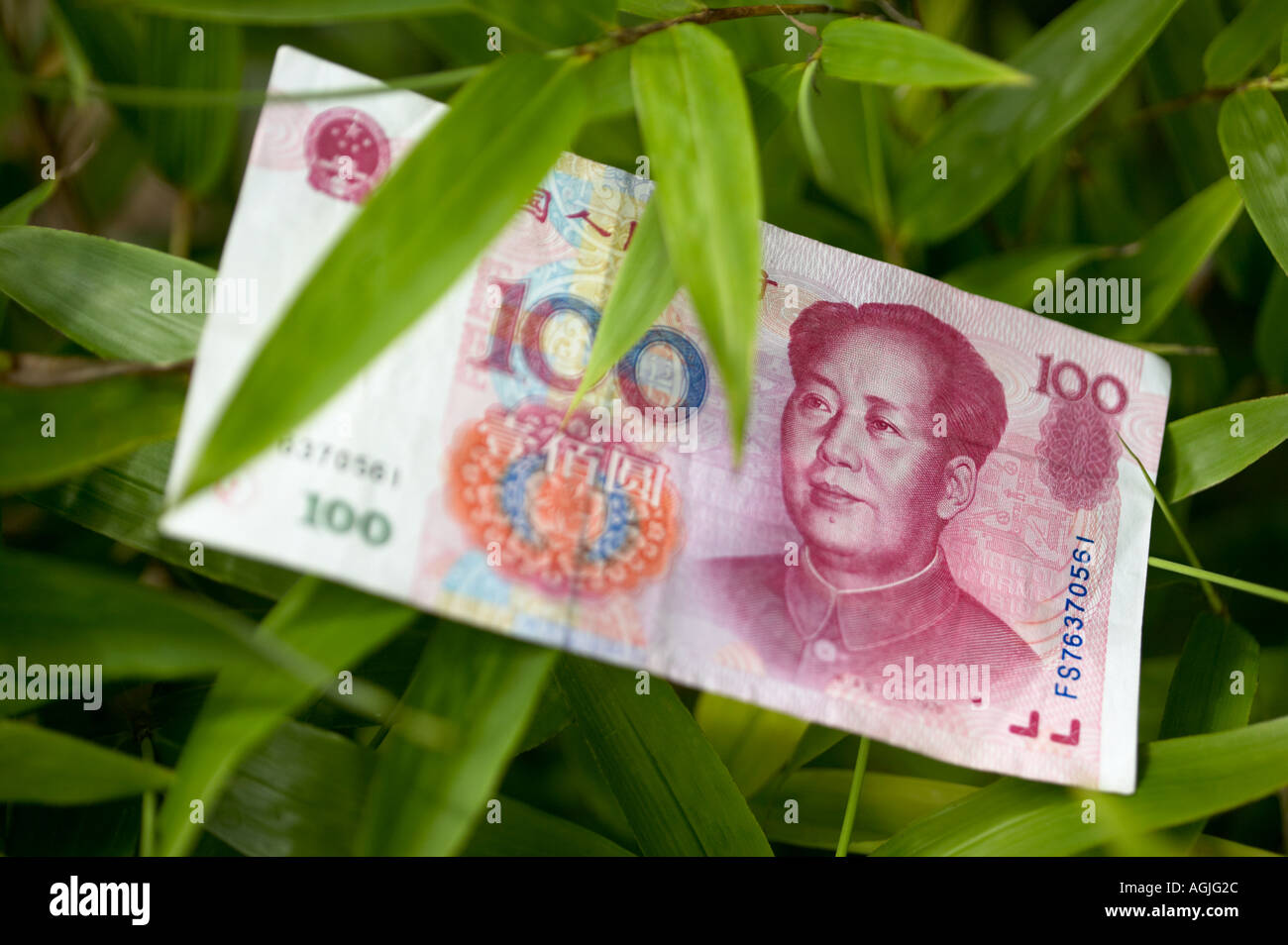 China Chinese Yuan Currency laying in Bamboo Leaves Stock Photo Alamy