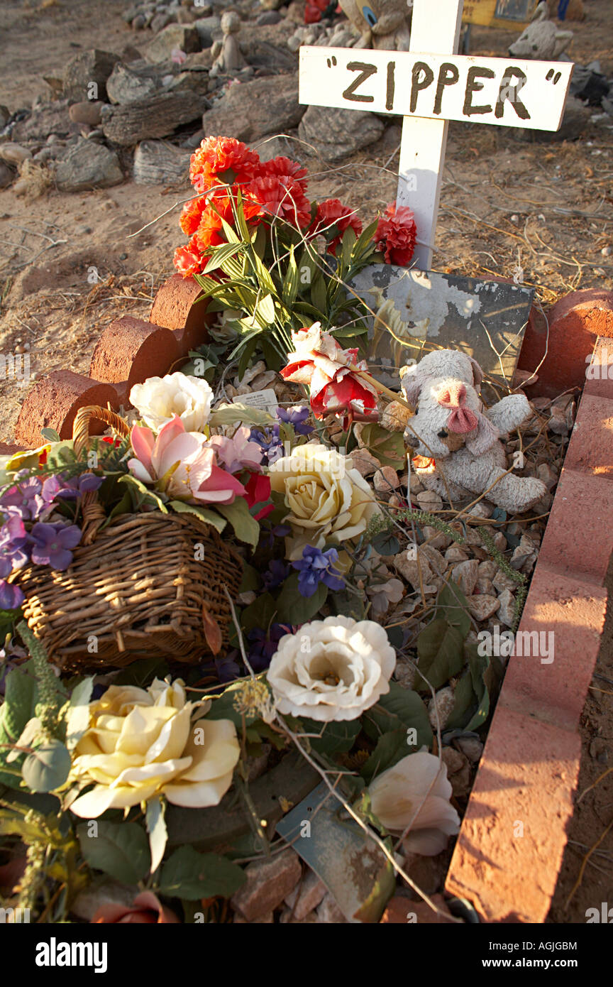 Pet Cemetery near the Sleepy Hollow trailer park on the Quechan Indian
