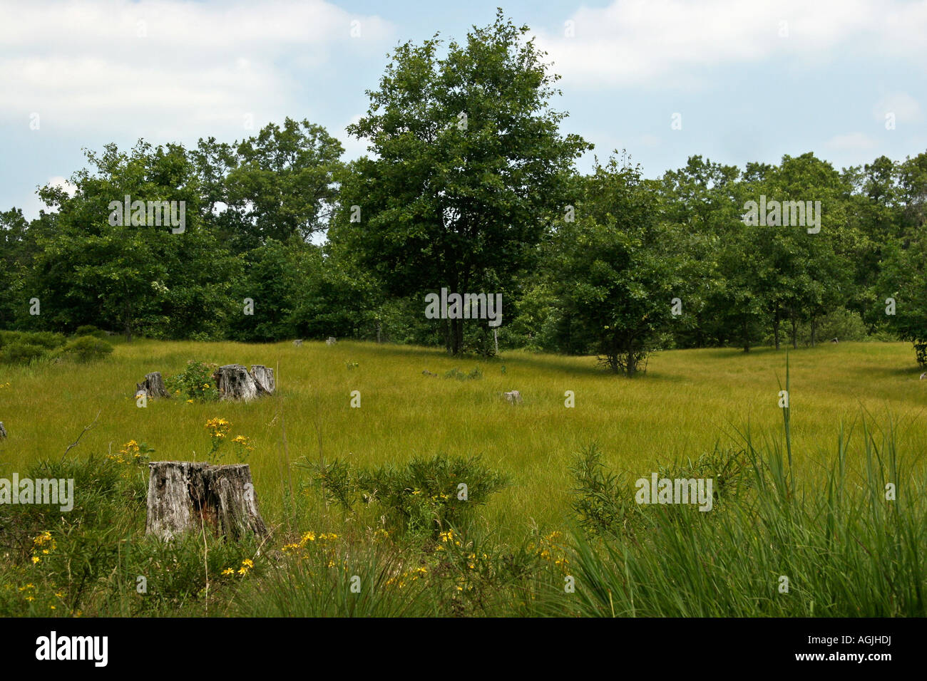Vista hi res hi-res stock photography and images - Alamy