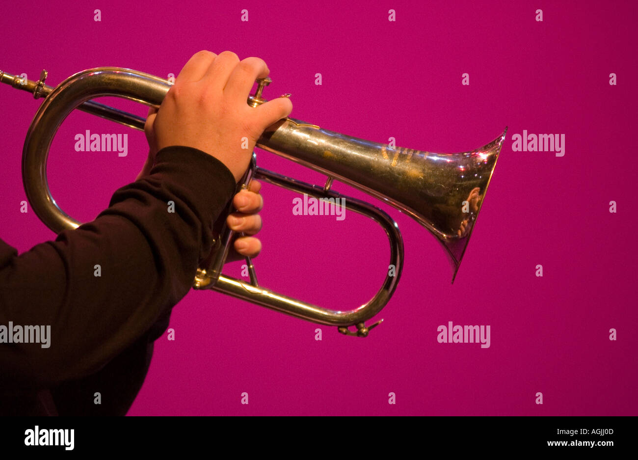 Musical Instruments Stock Photo Alamy