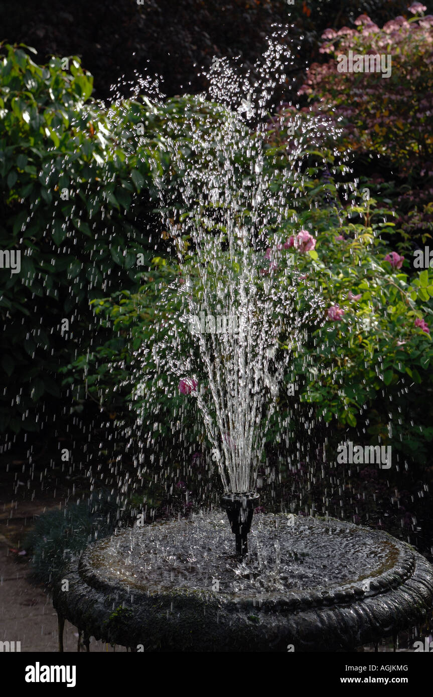 Classic water fountain in a traditional English garden Stock Photo Alamy