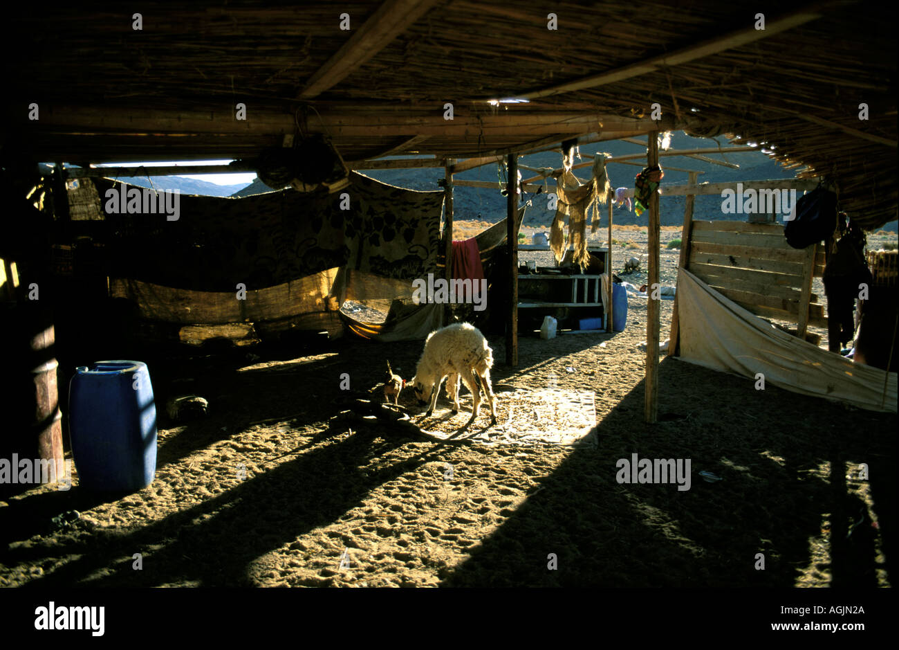 Sinai the tent of Um rabbia Stock Photo