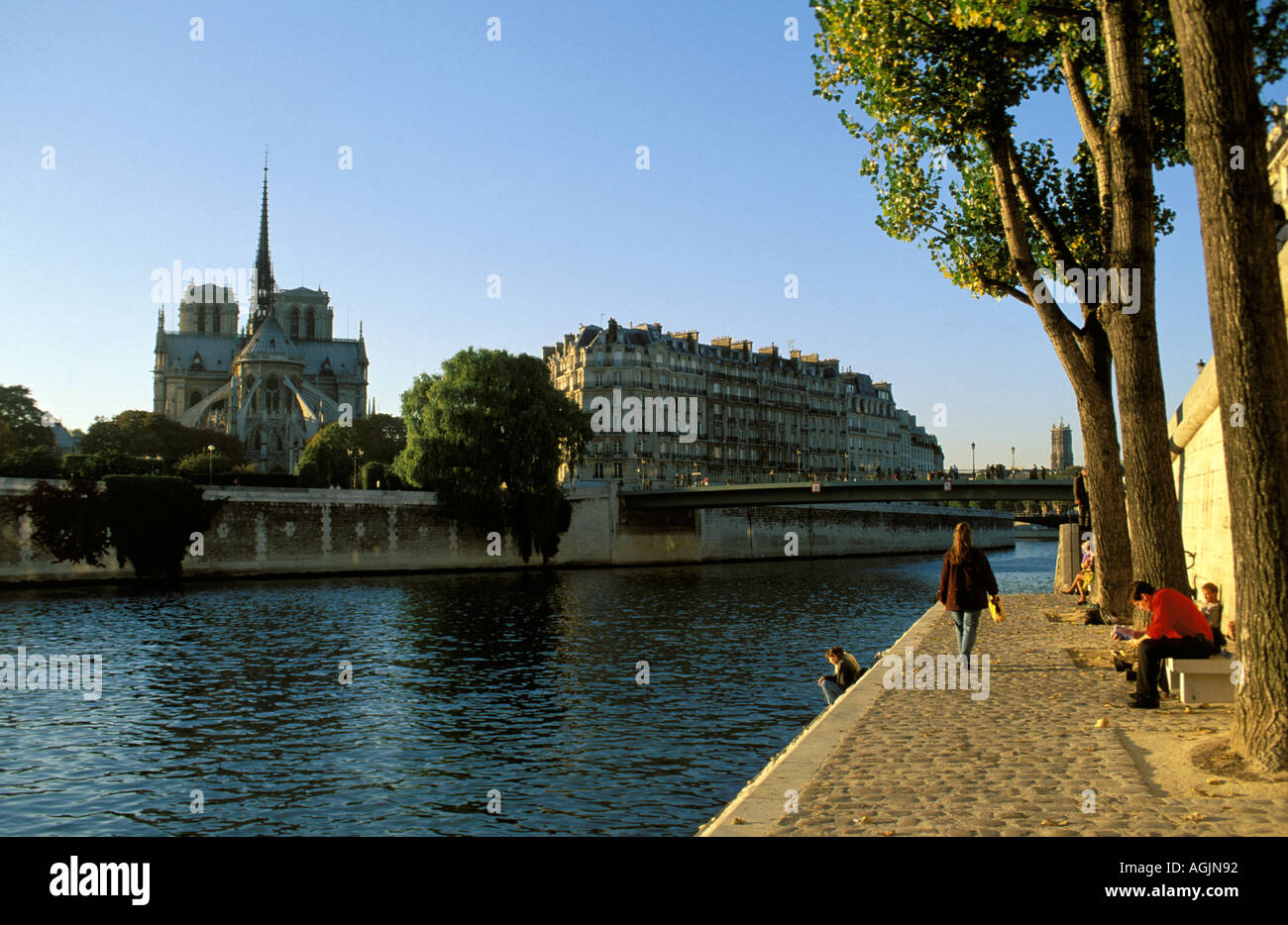 Paris Ile de la cite Notre Dame Stock Photo Alamy