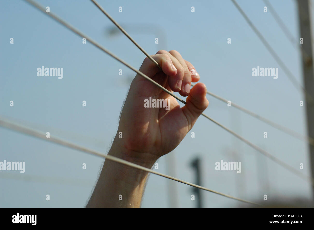 Person hand grasping wire fence Stock Photo