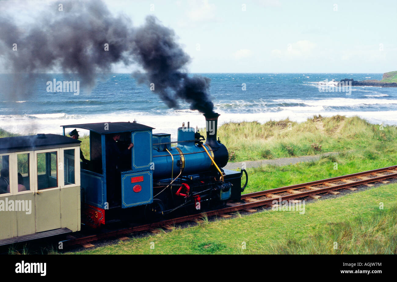 Giants Causeway and Bushmills Railway along the beach at Portballintrae between Bushmills and the Giants Causeway Ireland Stock Photo