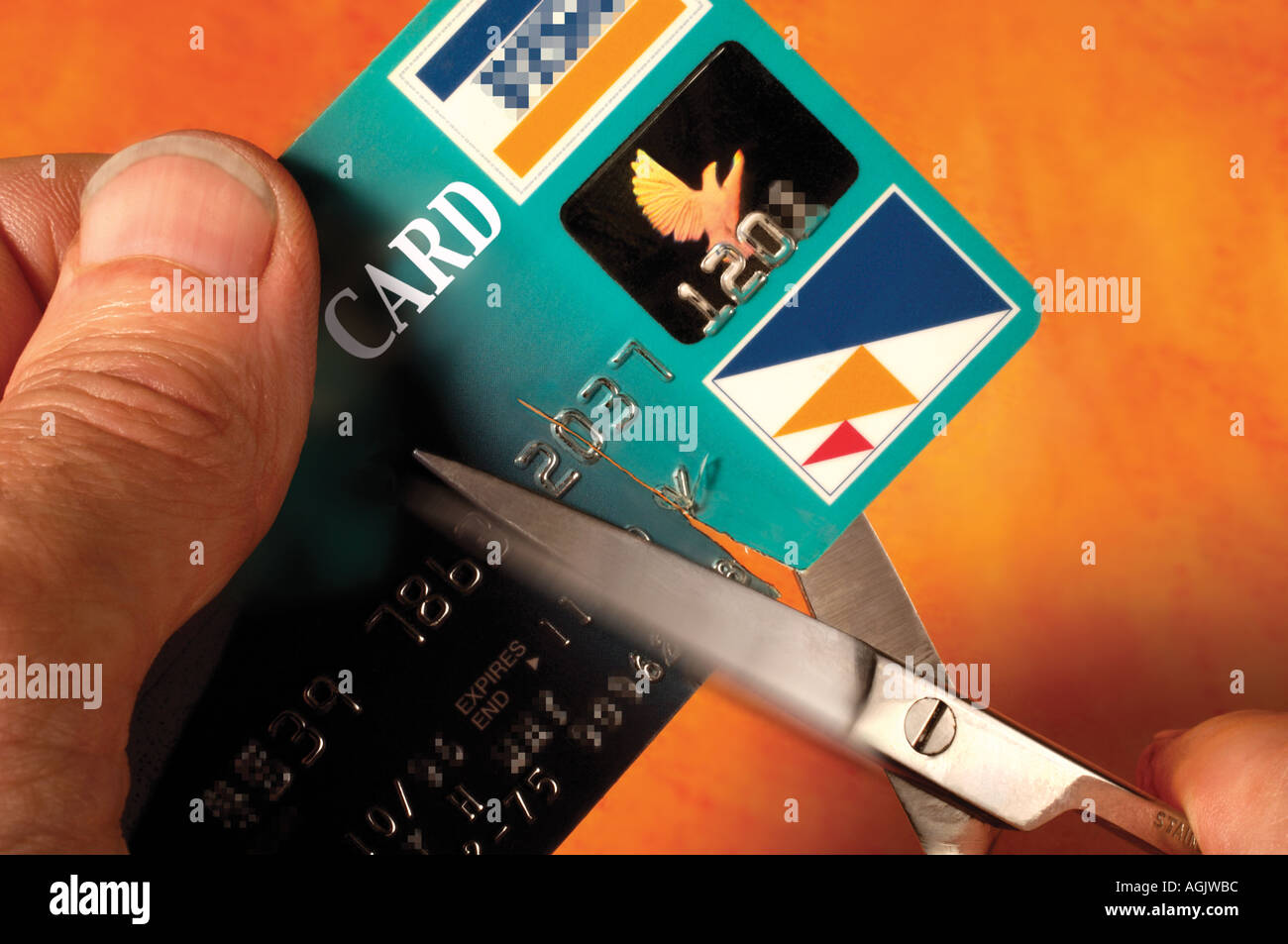 cutting up credit card Stock Photo Alamy