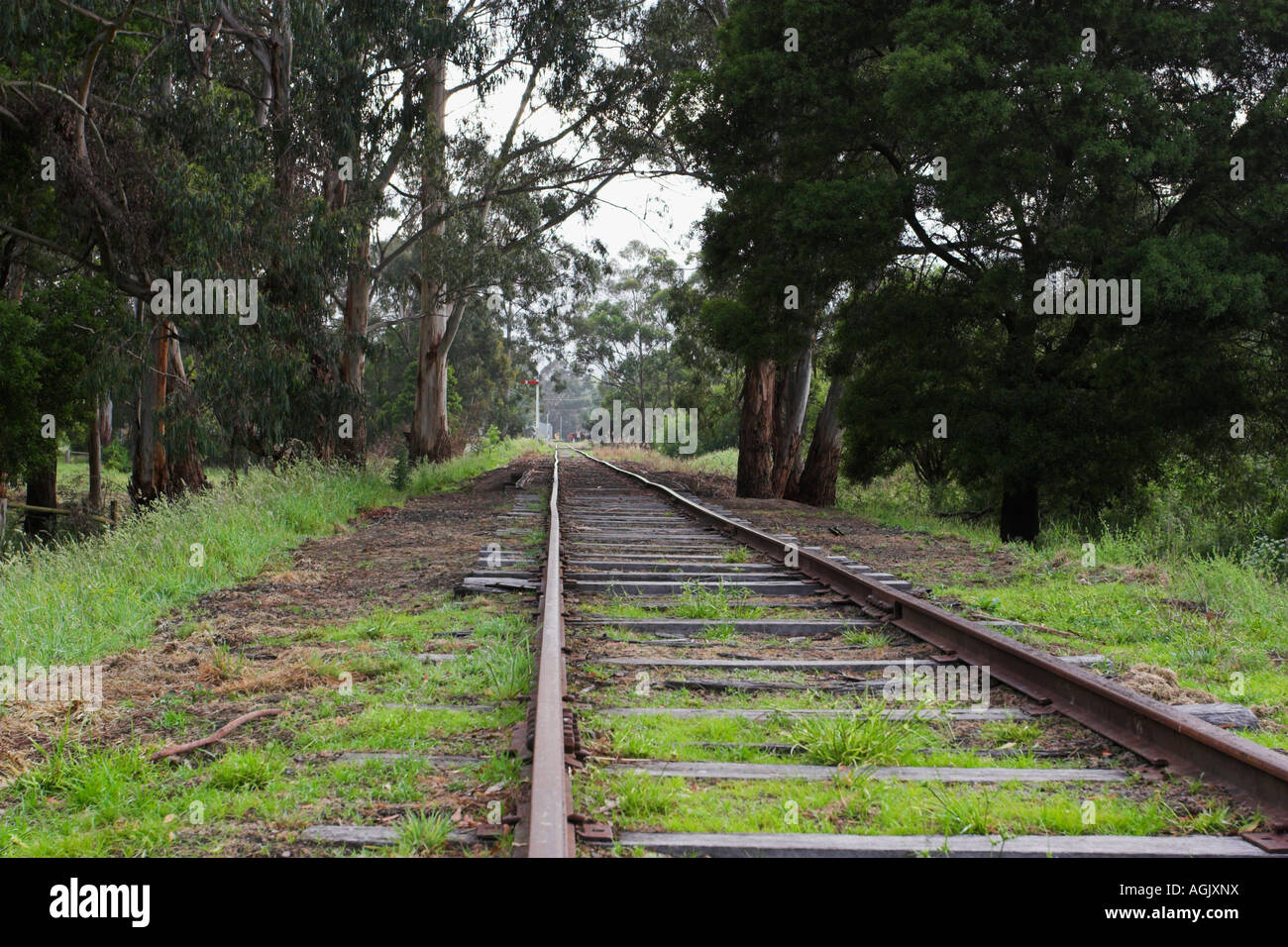 Disused railway line. Healesville, Victoria, Australia Stock Photo Alamy