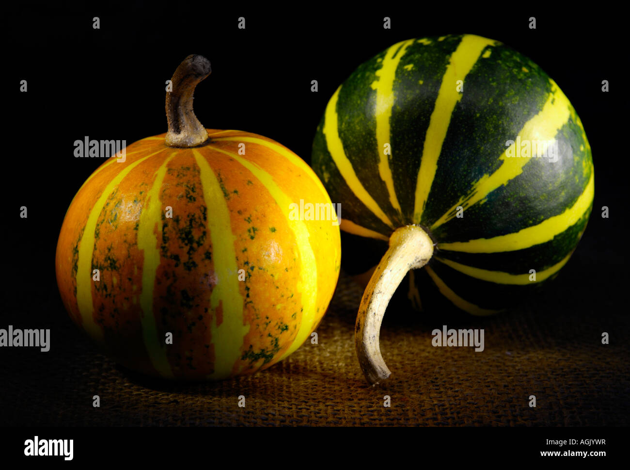 Two striped gourds Pumpking squash artistic Still life Stock Photo