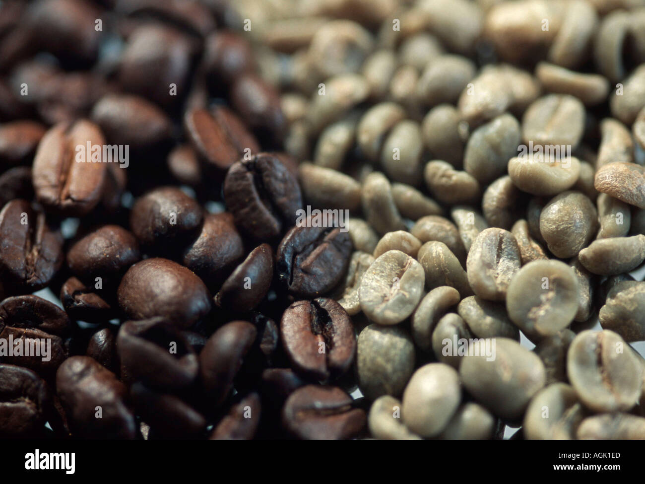 Coffee beans roasted and unroasted Coffea arabica Kaffee Bohnen