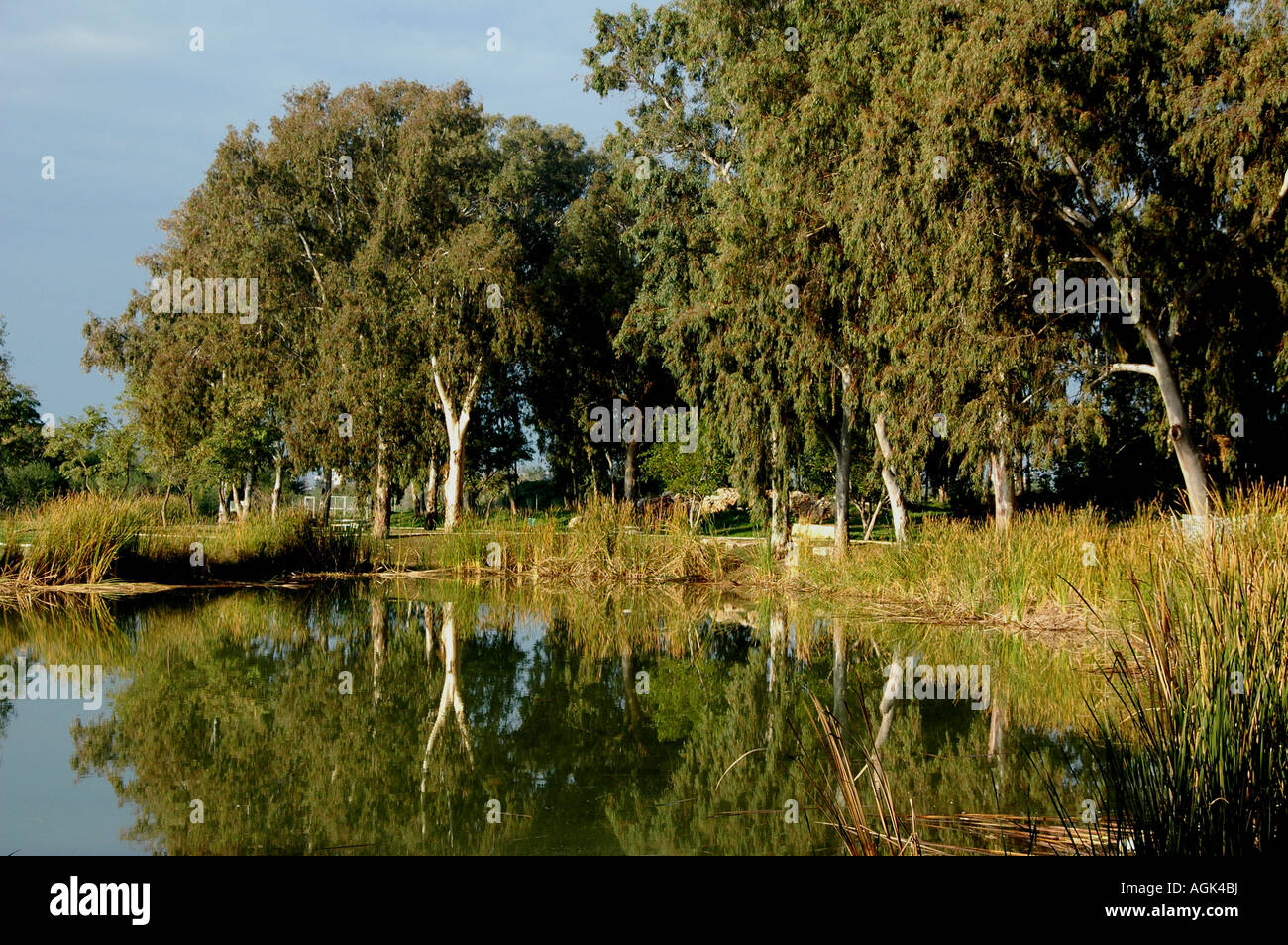 Tel Afek Israel Sources of the Yarkon River Stock Photo