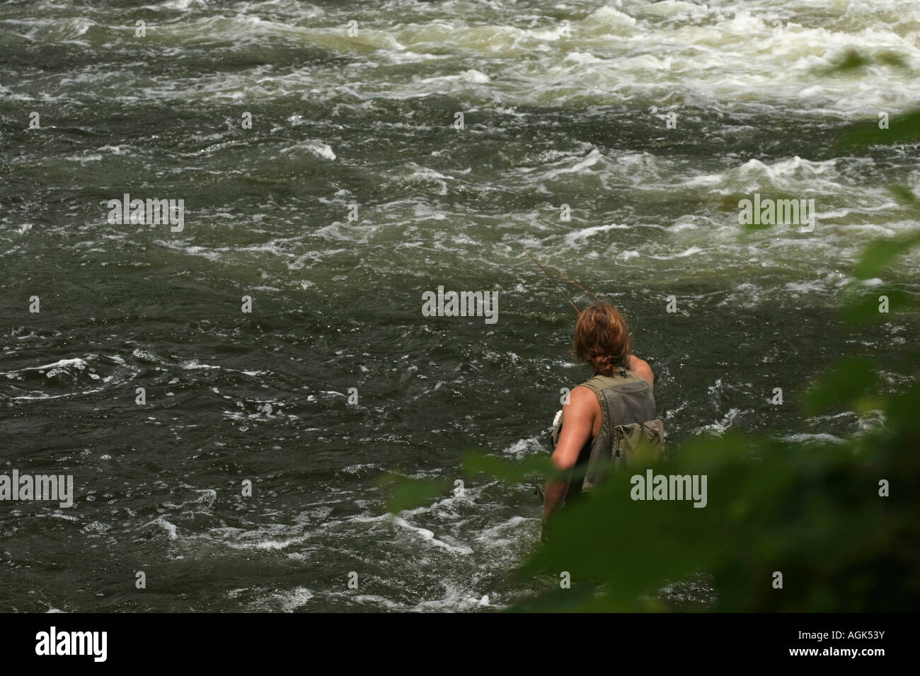 Young fisherman fly fishing in the River Manistee MI USA closeup of Caucasian man stands in the water wearing a fishing vest from back above hi-res Stock Photo