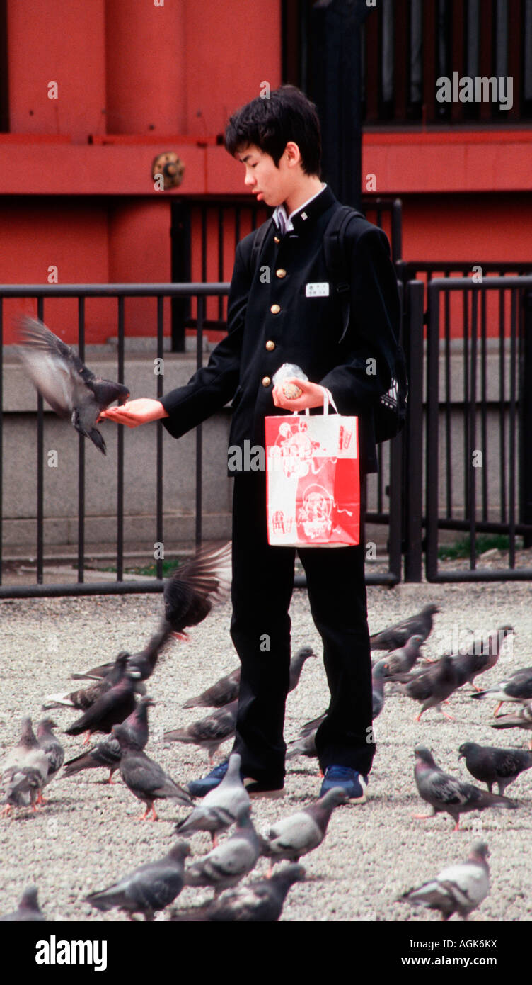Asia, Japan, Tokyo, Akasaka area. Schoolboy in uniform feeds pigeons in front of Sensoji Temple