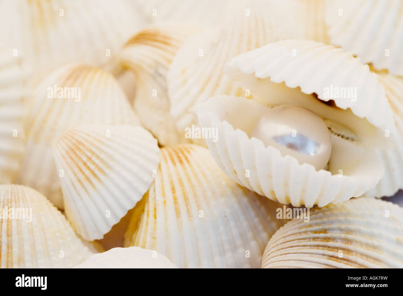 Pearl in a seashell Stock Photo