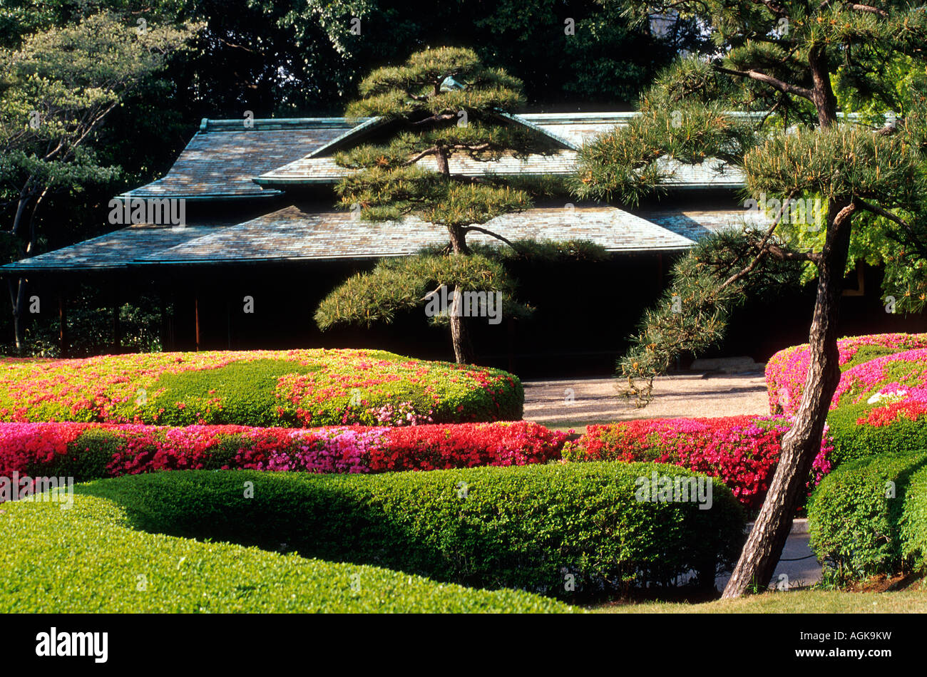 Asia, Japan, Tokyo. Azaleas at the Imperial Palace East Gardens. Stock Photo