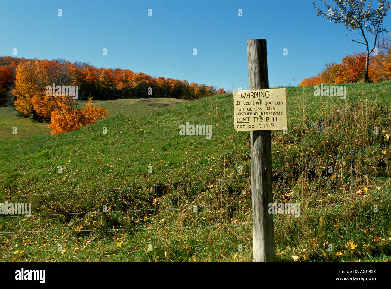 Humorous warning sign about a bull and no trespassing in a grassy field in Vermont United States of America USA Stock Photo