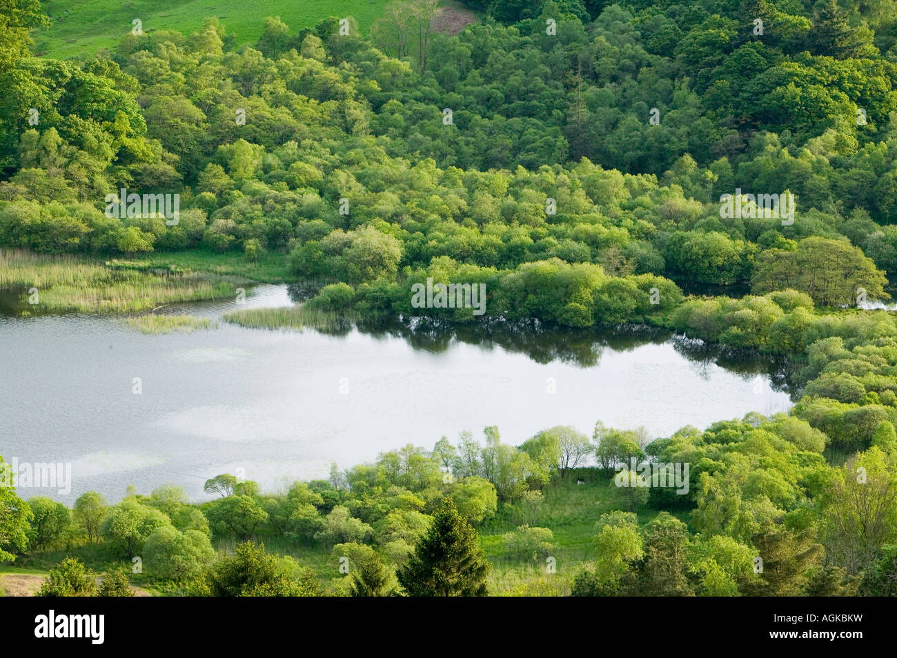 Rydal Water, Lake District National Park, Cumbria, UK Stock Photo