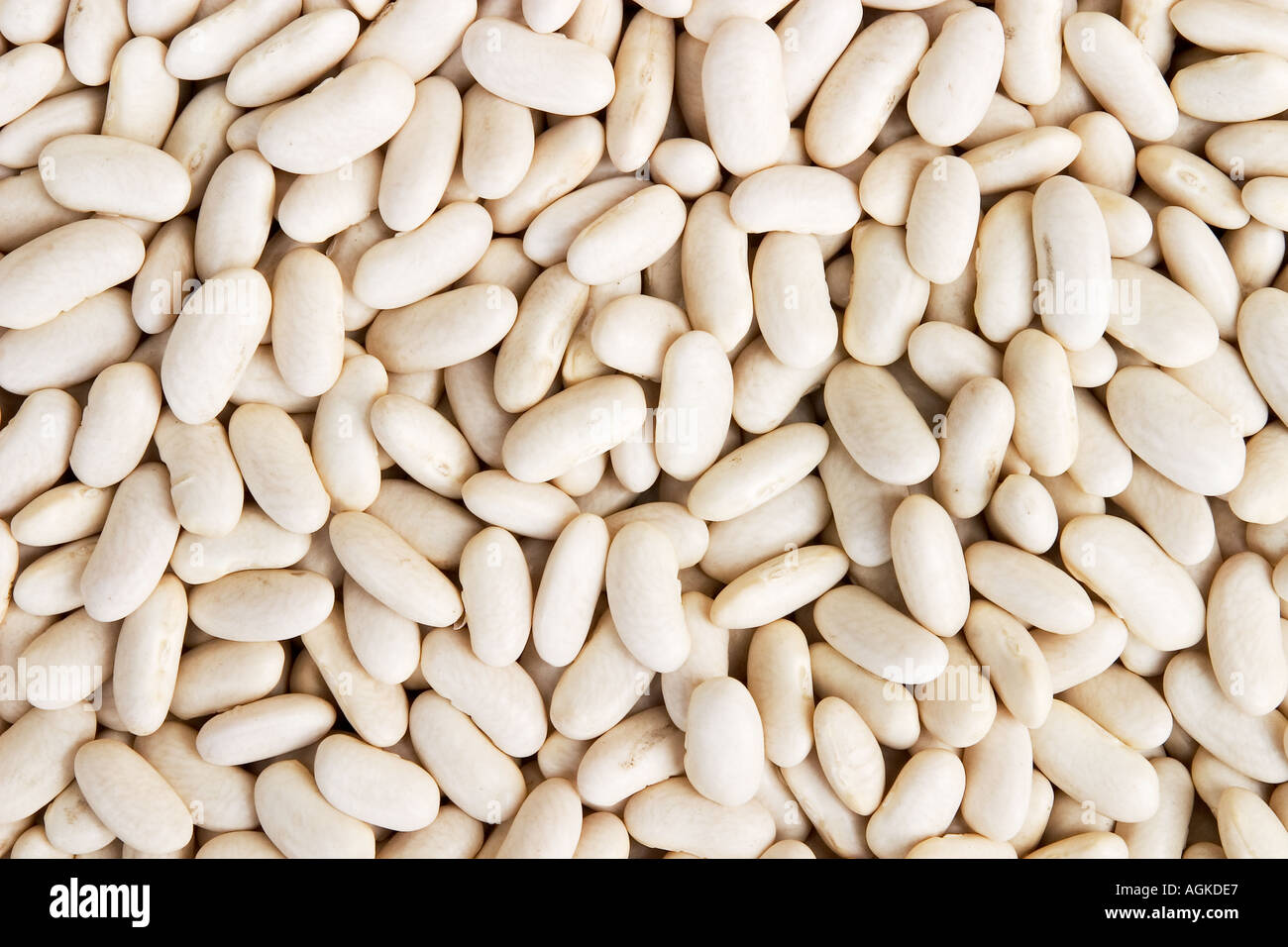 White dried beans Stock Photo Alamy