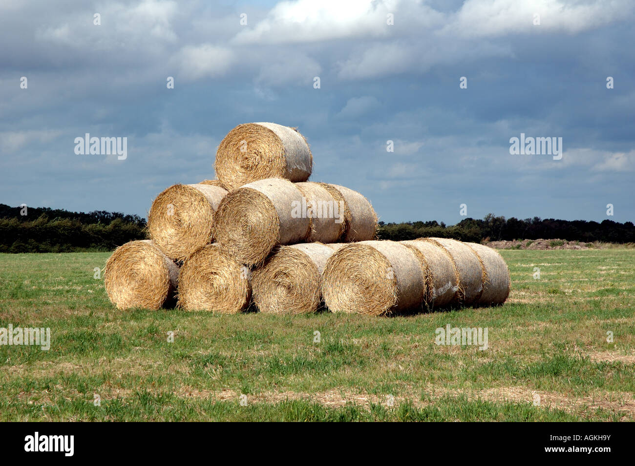 Straw bales, Norfolk, UK Stock Photo Alamy
