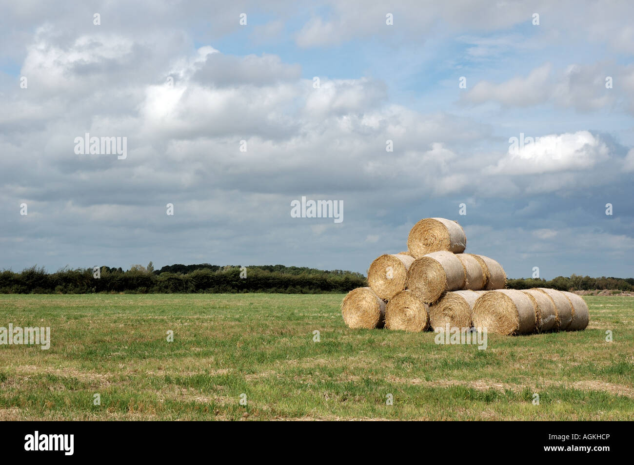 Straw bales, Norfolk, UK Stock Photo Alamy
