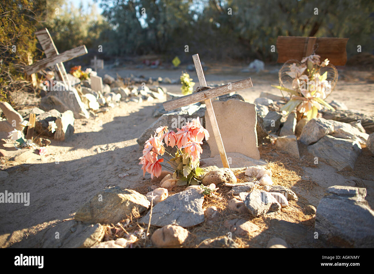 Pet Cemetery near the Sleepy Hollow trailer park on the Quechan Indian