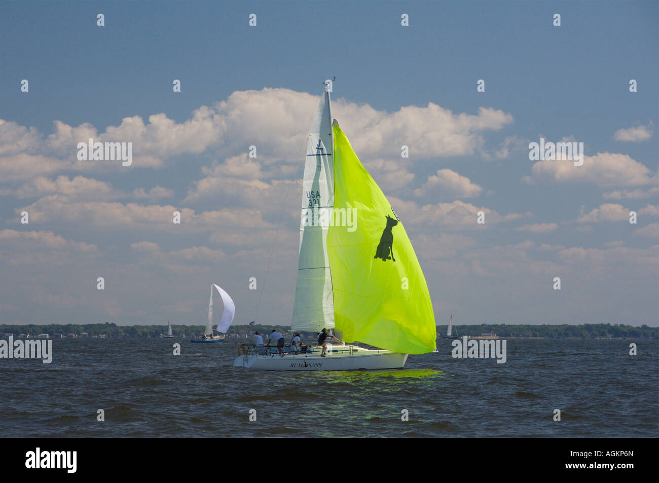 Sail Regatta at Chesapeake Bay near Annapolis Maryland United States Stock Photo